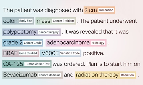 Named Entity Recognition (NER)